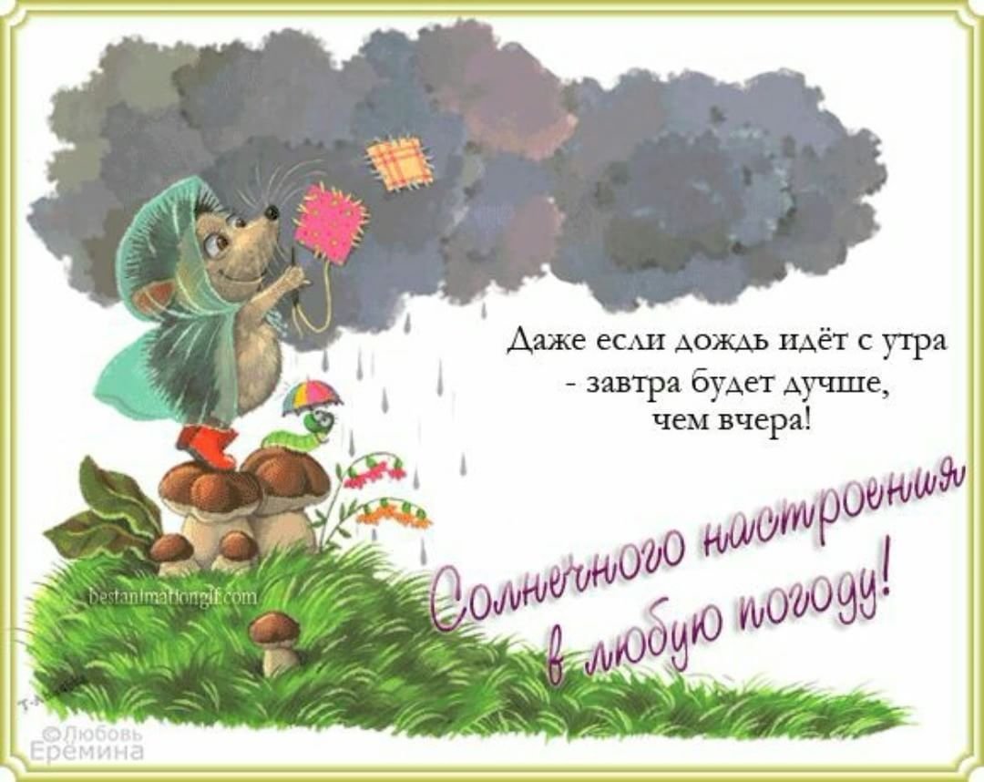 Открытки с ежиками прикольные