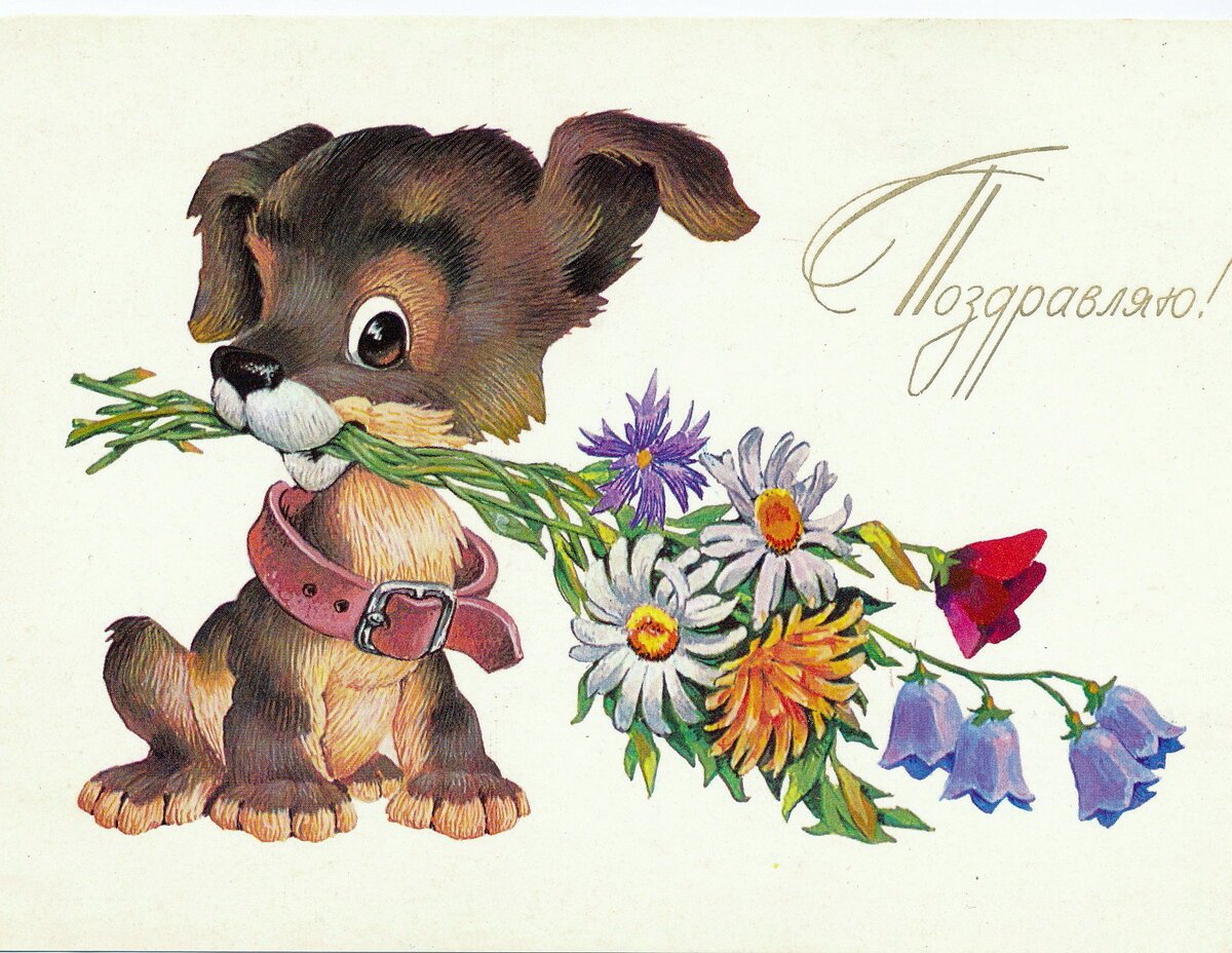 Поздравления с днём рождения пл