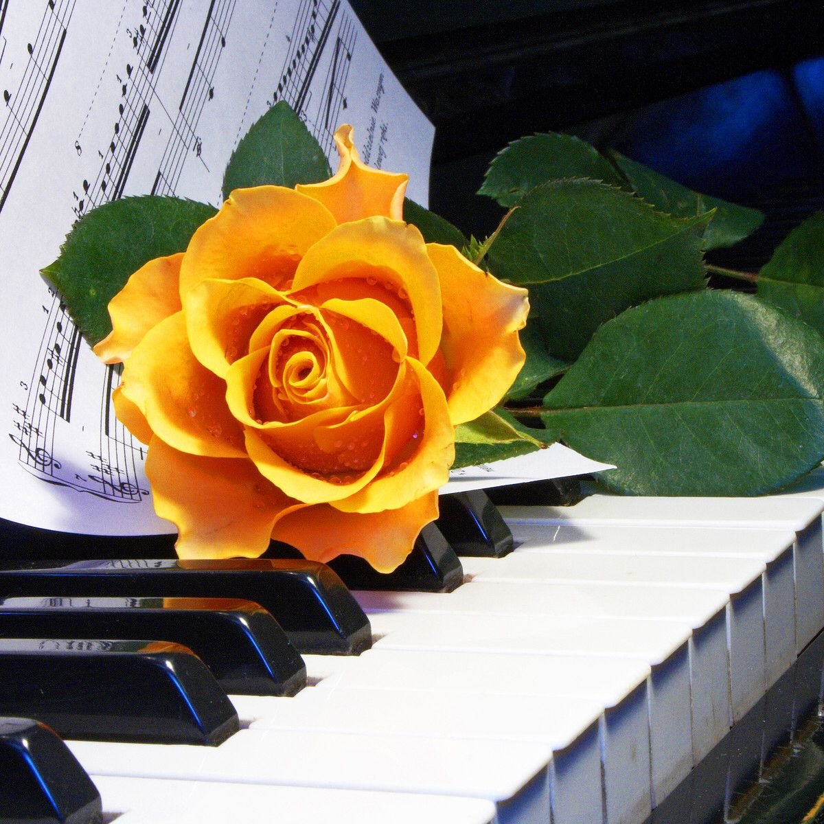 Фортепиано и цветы