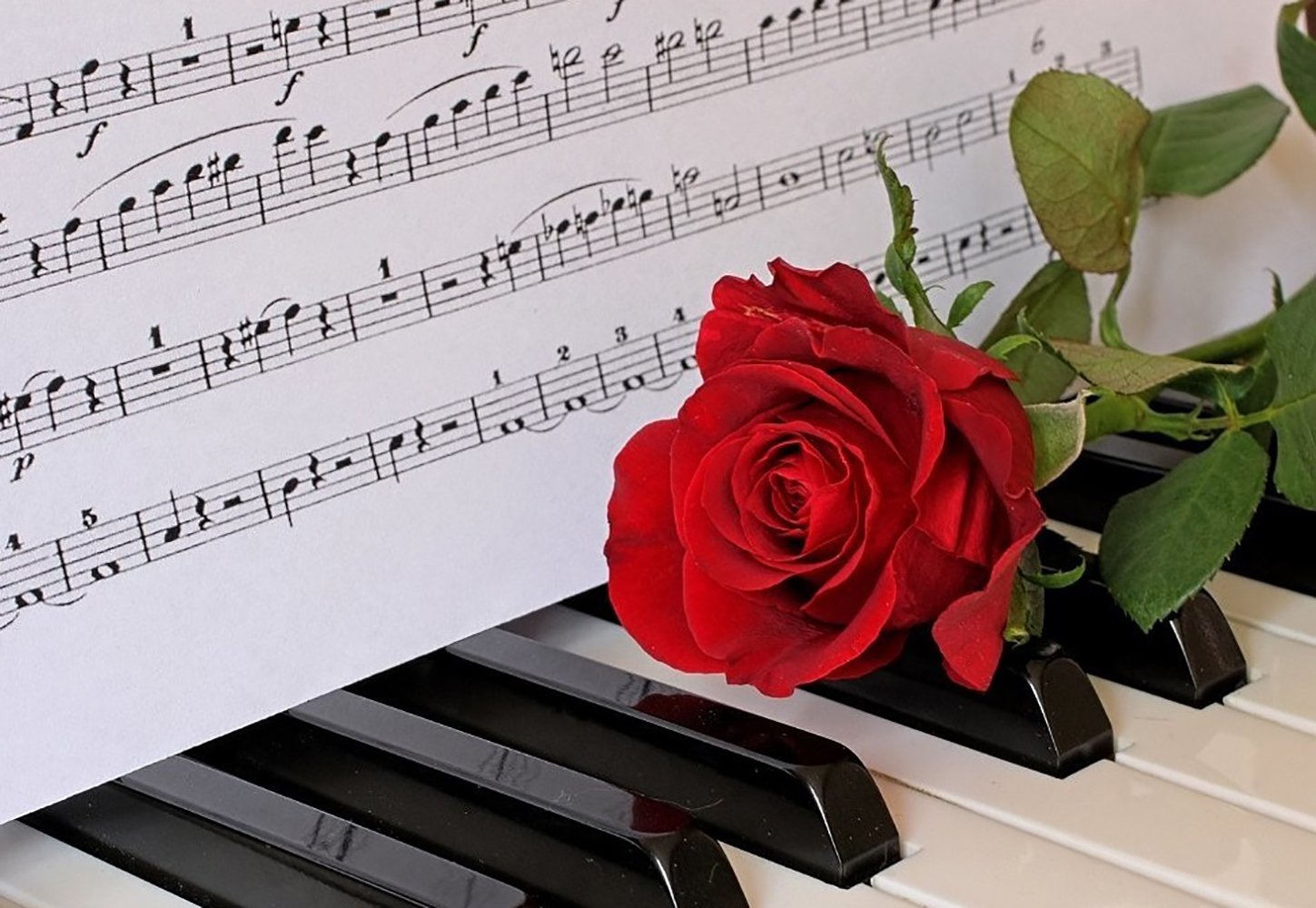 Песня с днем рождения мир. Открытка музыканту. Музыкальный фон. Цветы для музыканта. Фортепиано и цветы.