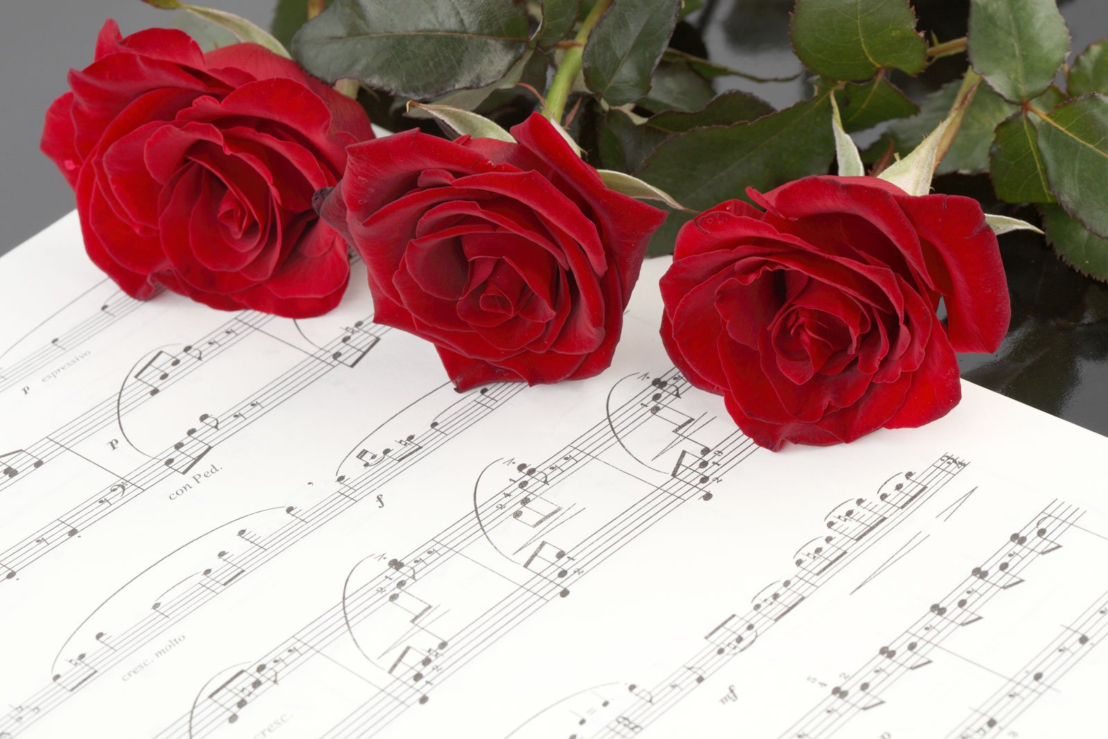Нежный праздник песня. Цветы для музыканта. Красивые цветы с нотками. Ноты и цветы. Открытка с юбилеем музыканту.
