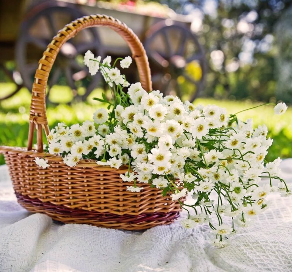 Полевые цветы в корзинке