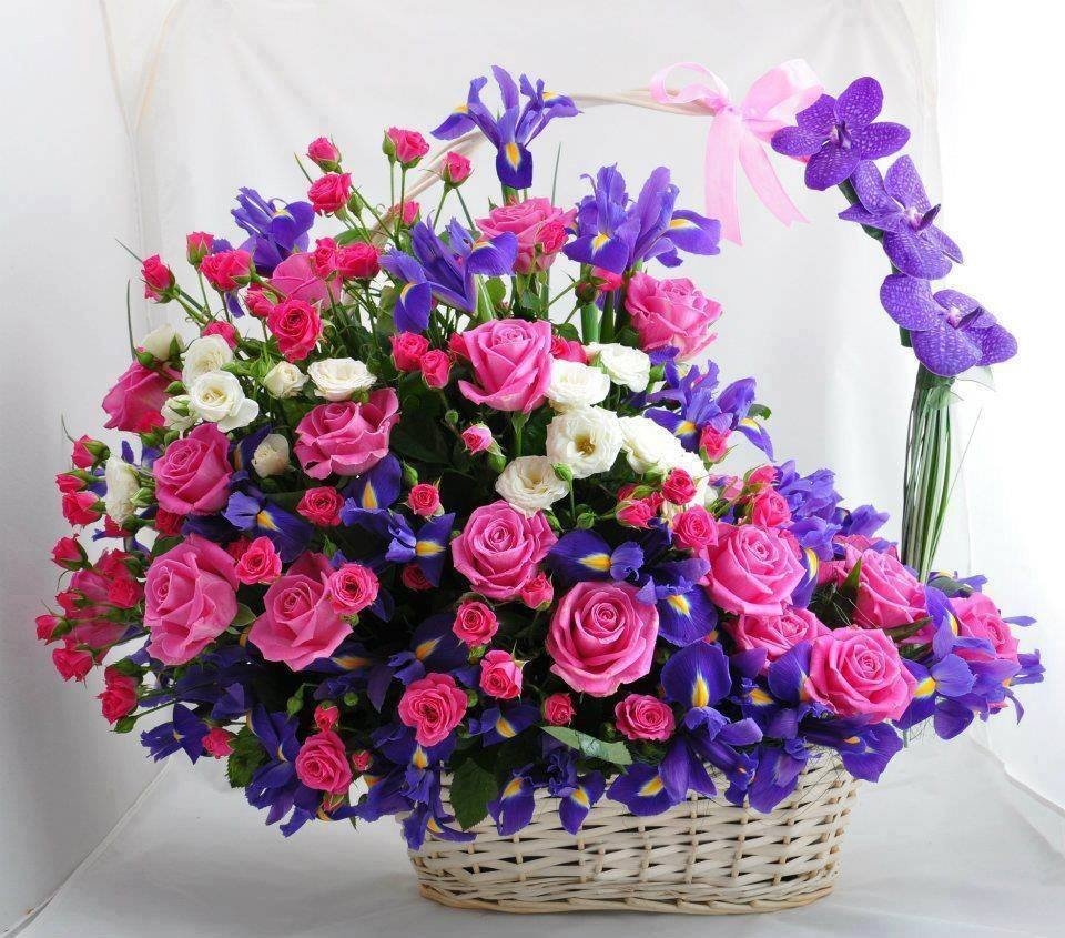 Корзины роз с пожеланиями