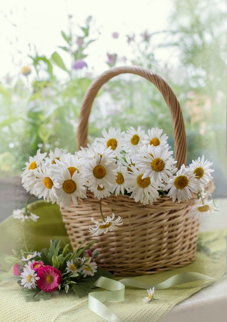 Корзина с цветами