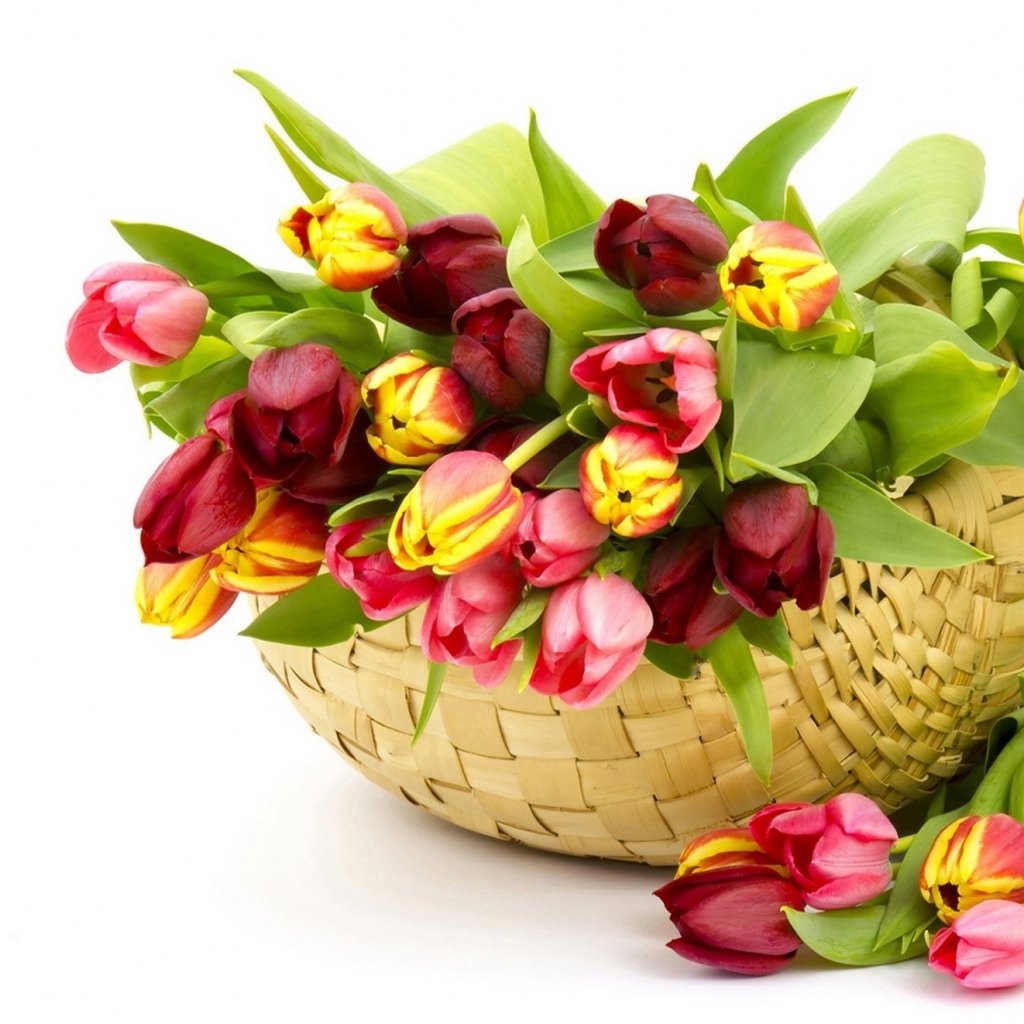Корзина тюльпанов с 8 марта открытки
