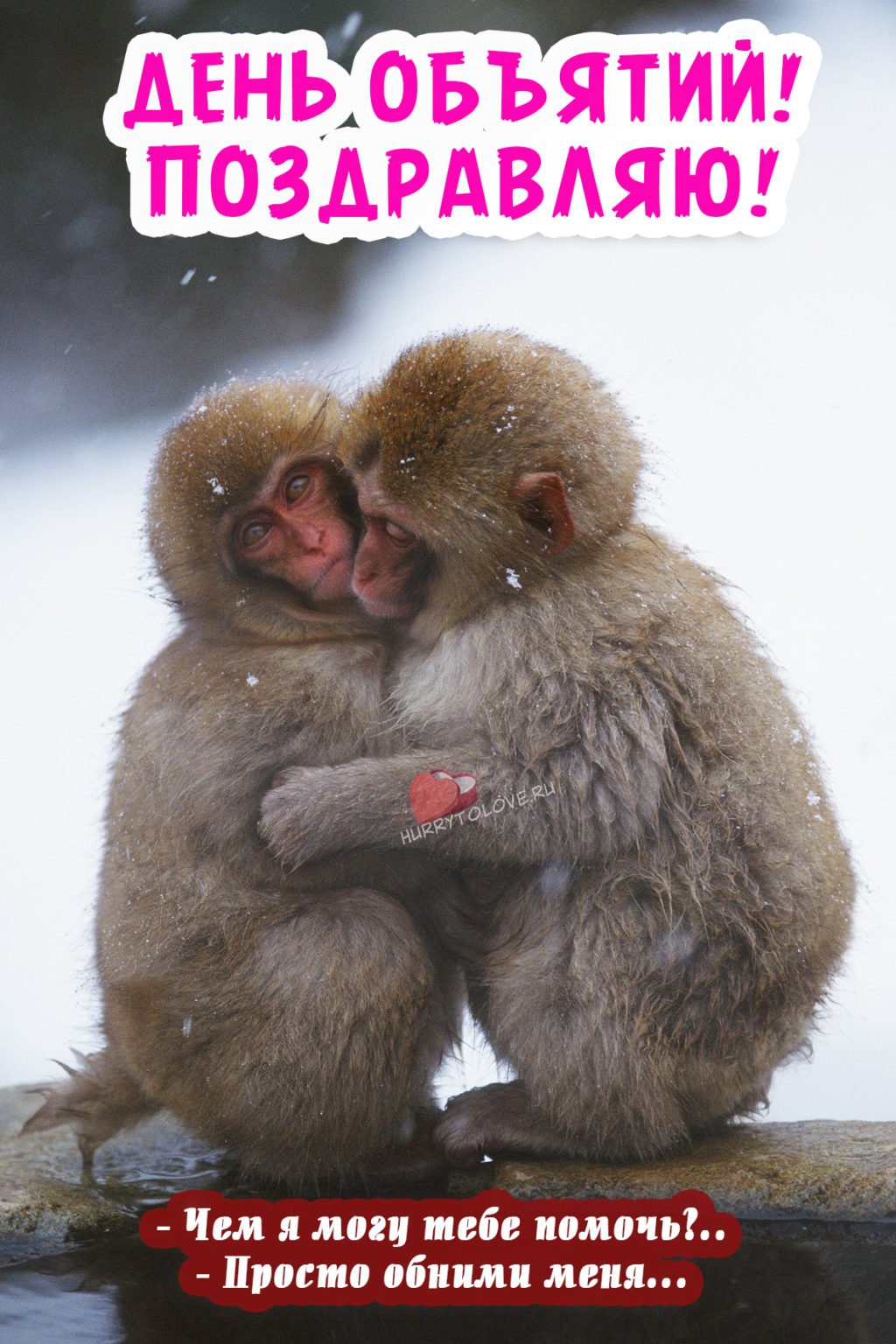 День объятий прикольные