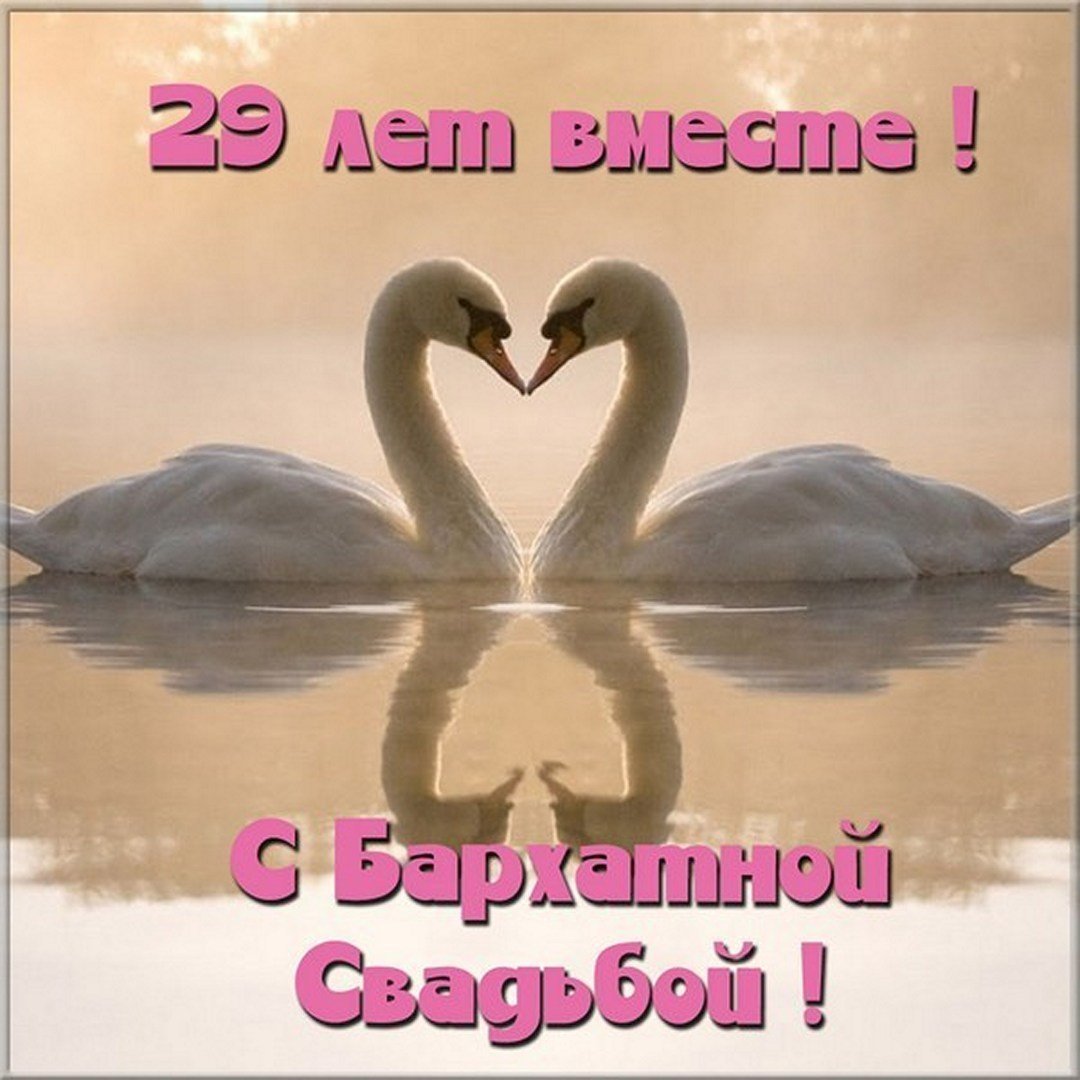 Два влюбленных лебедя