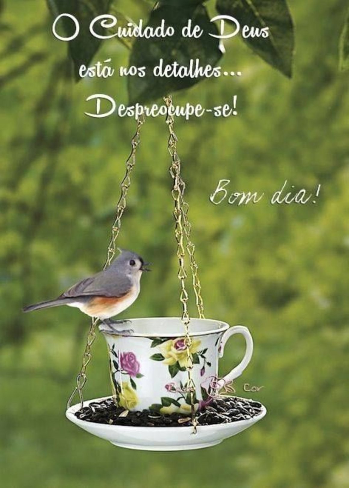 Доброе утро с птичками