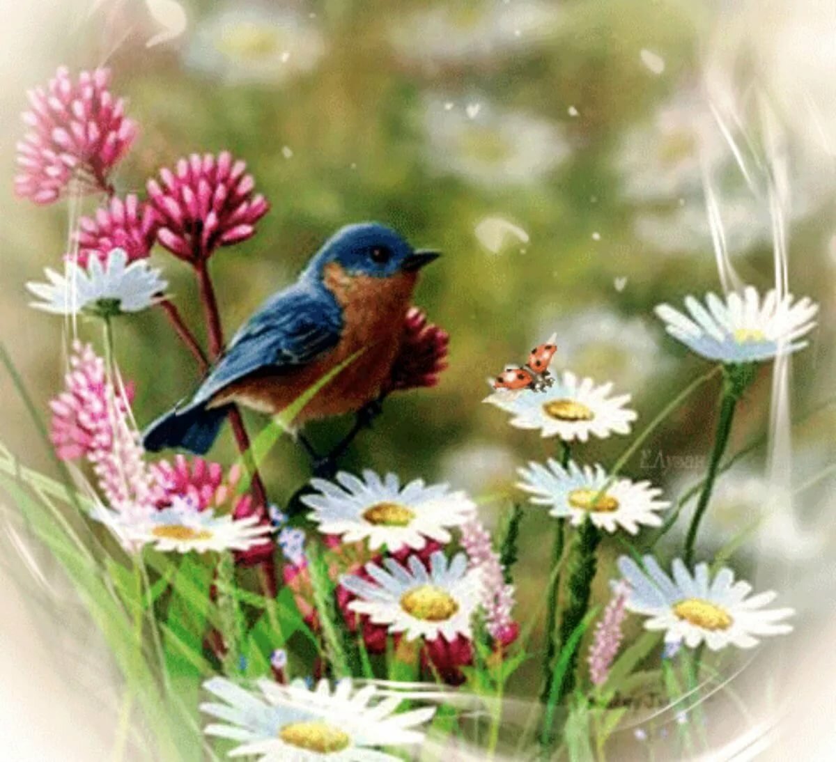 Доброе летнее утро птички