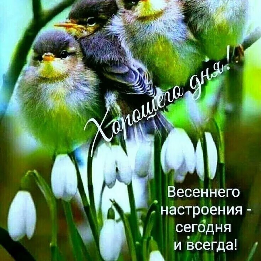 Доброго весеннего утра и хорошего дня
