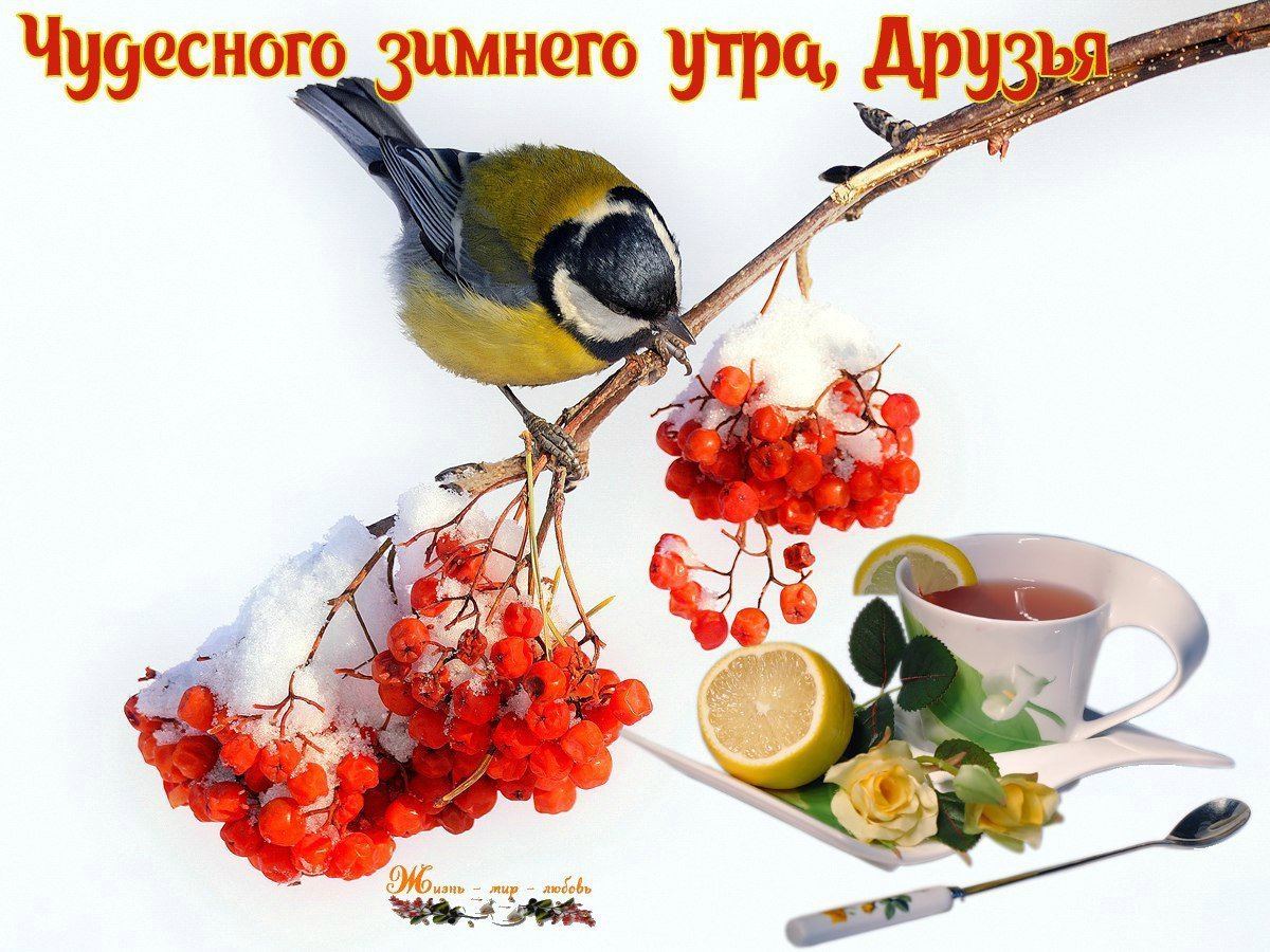 Доброго февральского утра и хорошего настроения