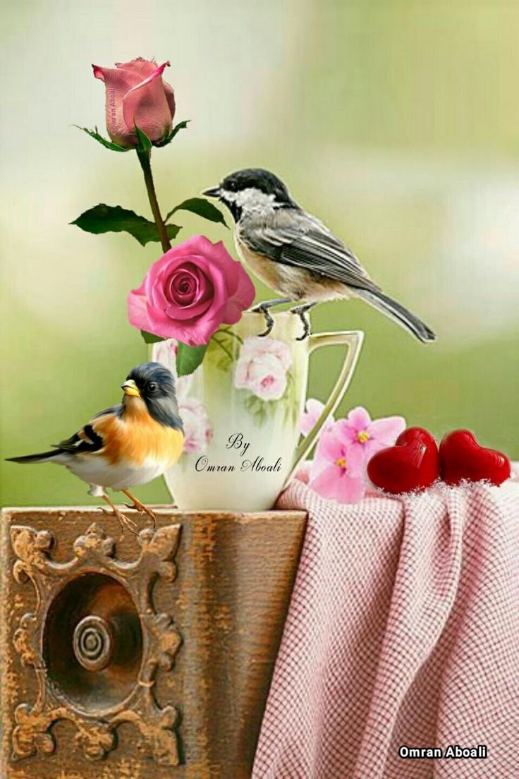 Пожелания с добрым утром с птичками