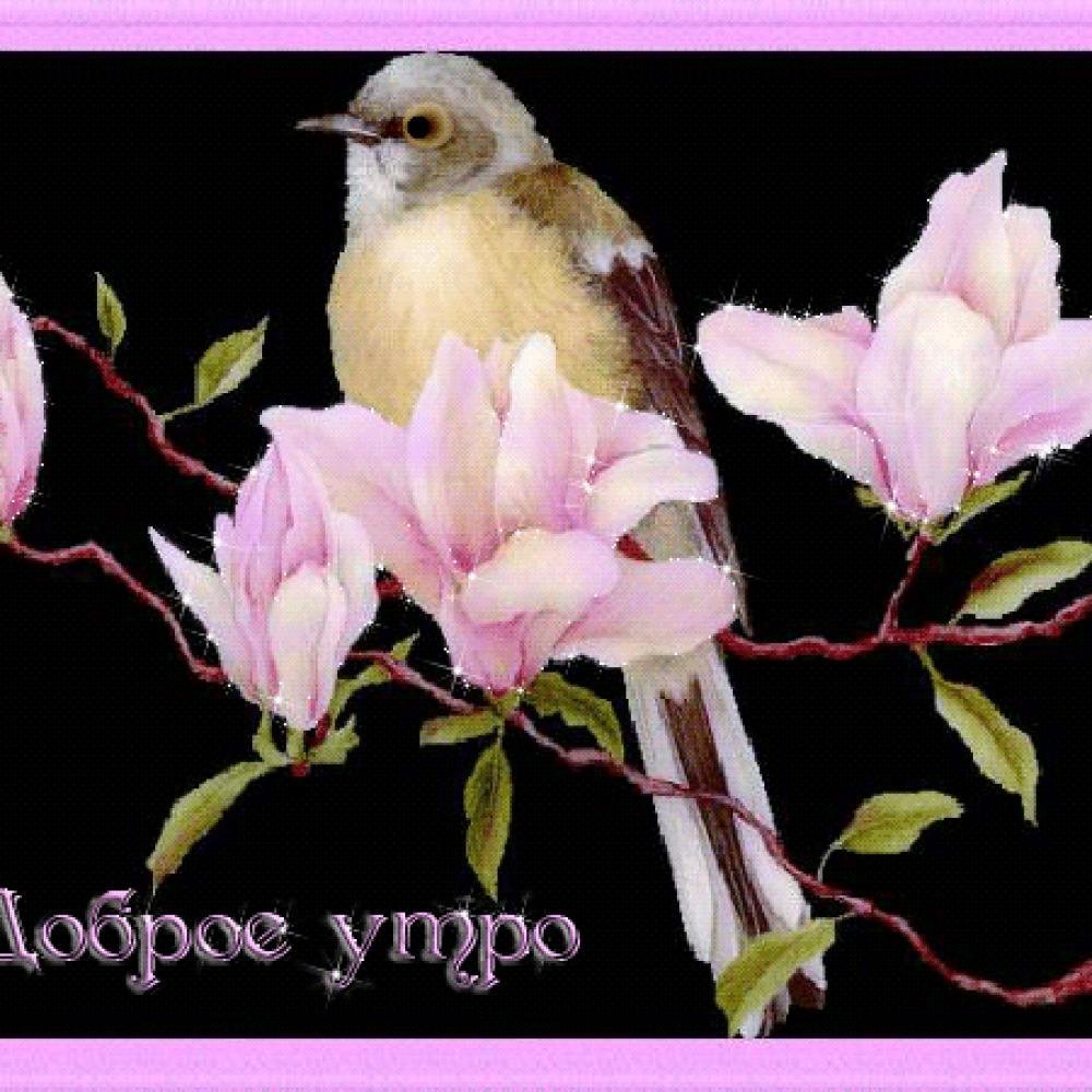 Открытки с добрым утром с птичками