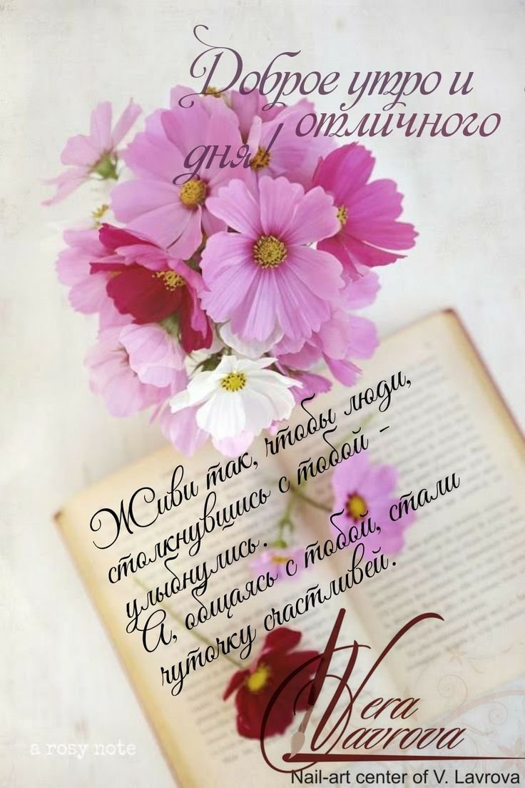 Открытки с Цитатами