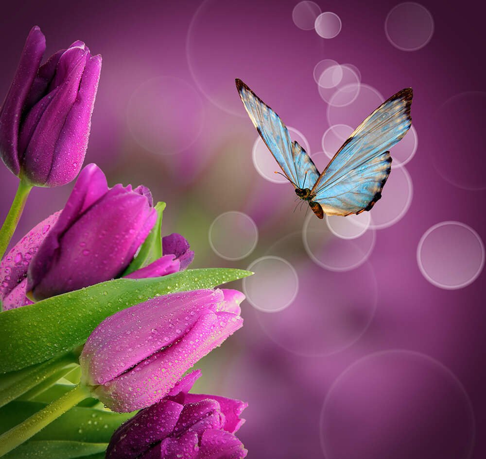 С днём рождения Жанна