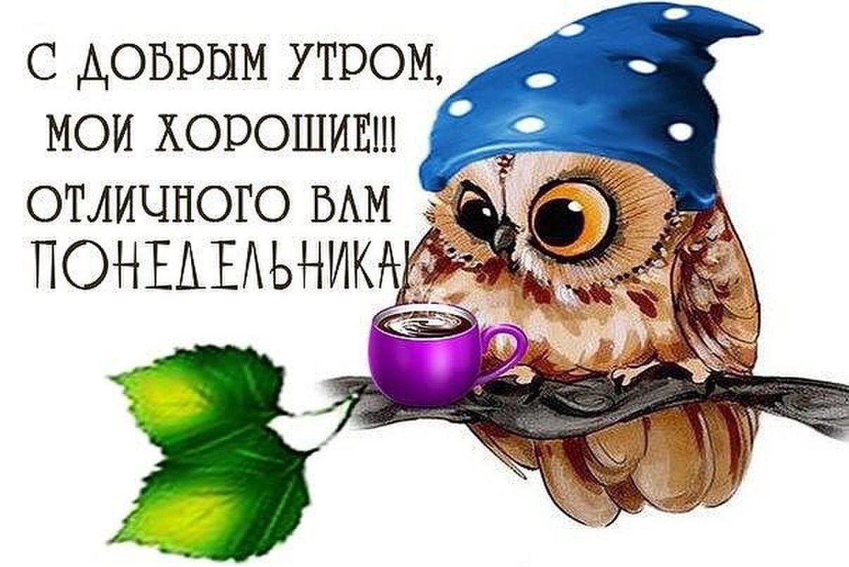 Весёлые поздравления с утра