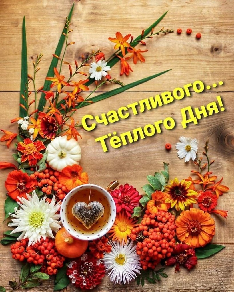 Доброе осеннее утро четверга