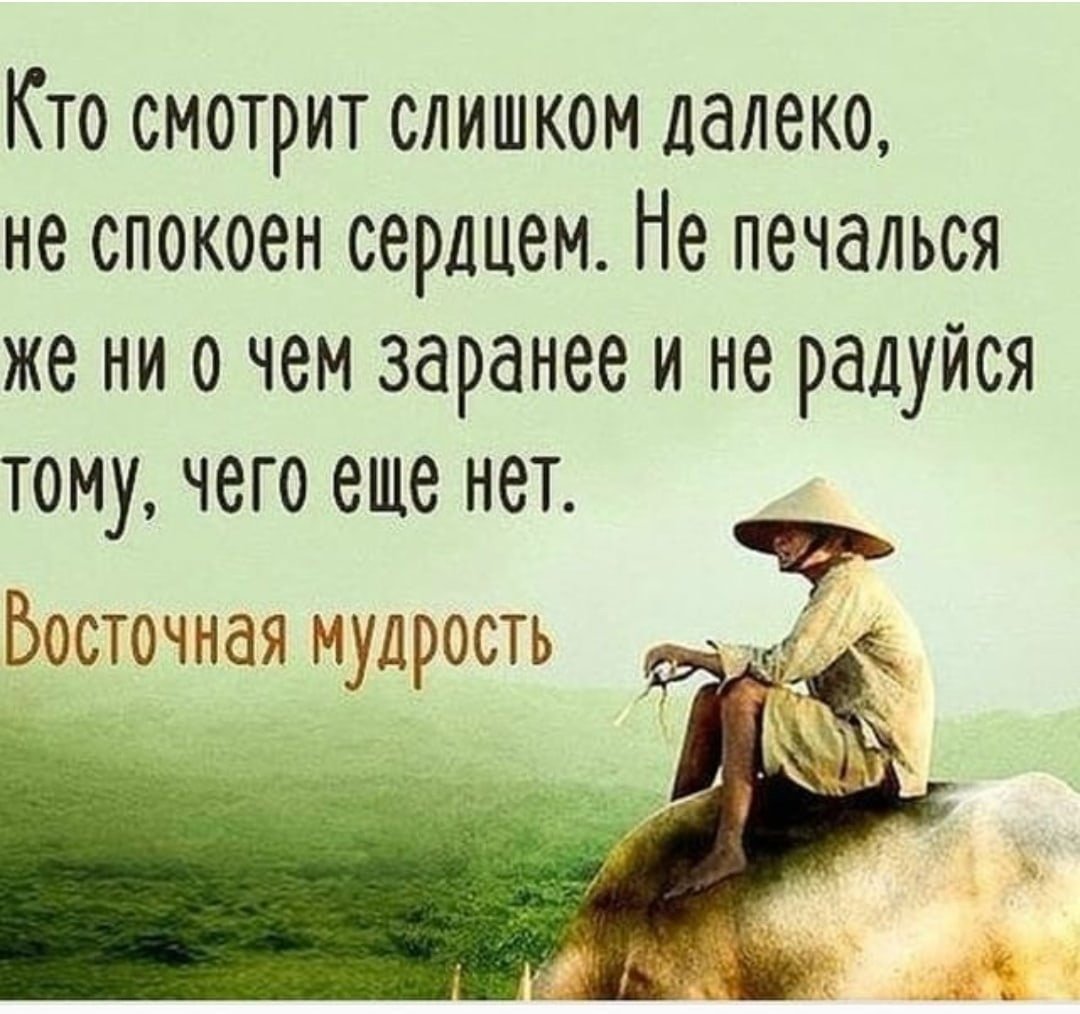 Высказывания о мудрости