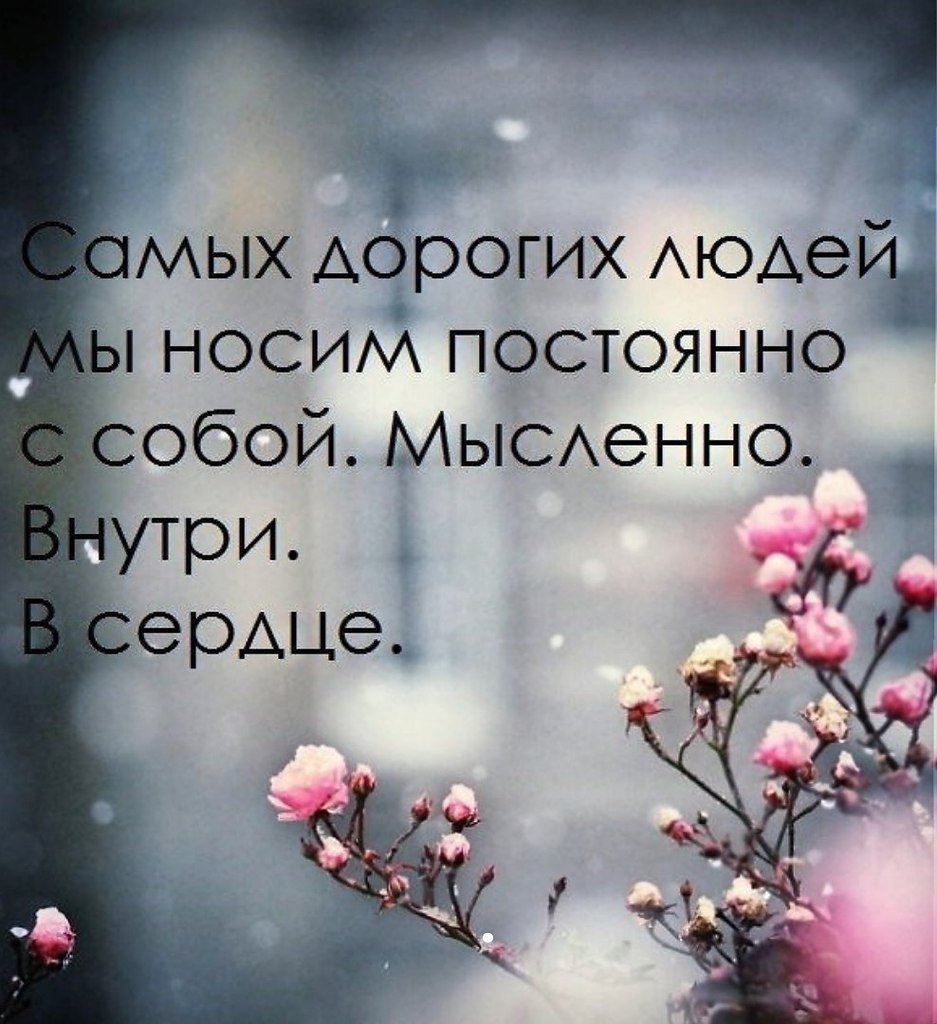 Красивые цитаты