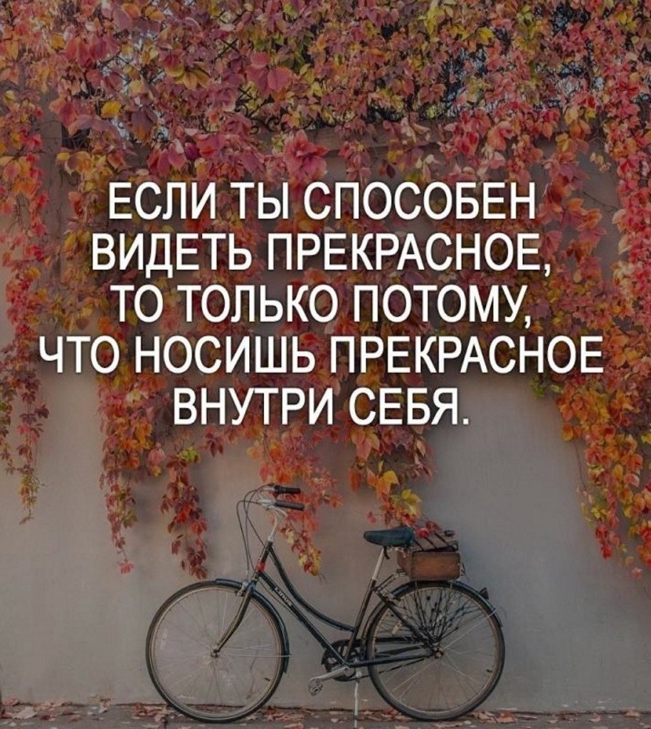 Цитаты про творчество