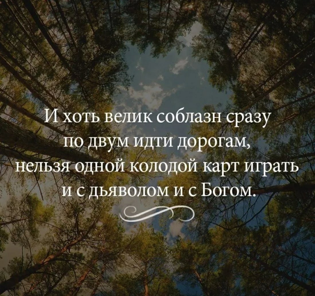 Умные цитаты