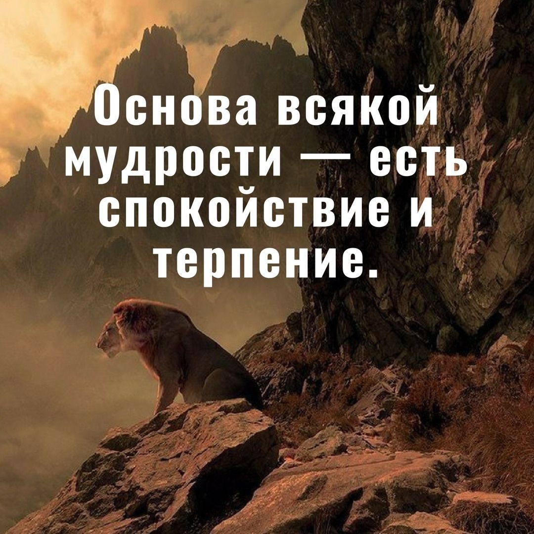 Основа всякой мудрости есть спокойствие и терпение