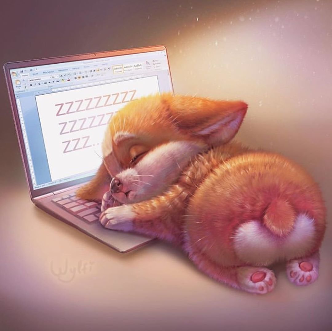 Коты на печке