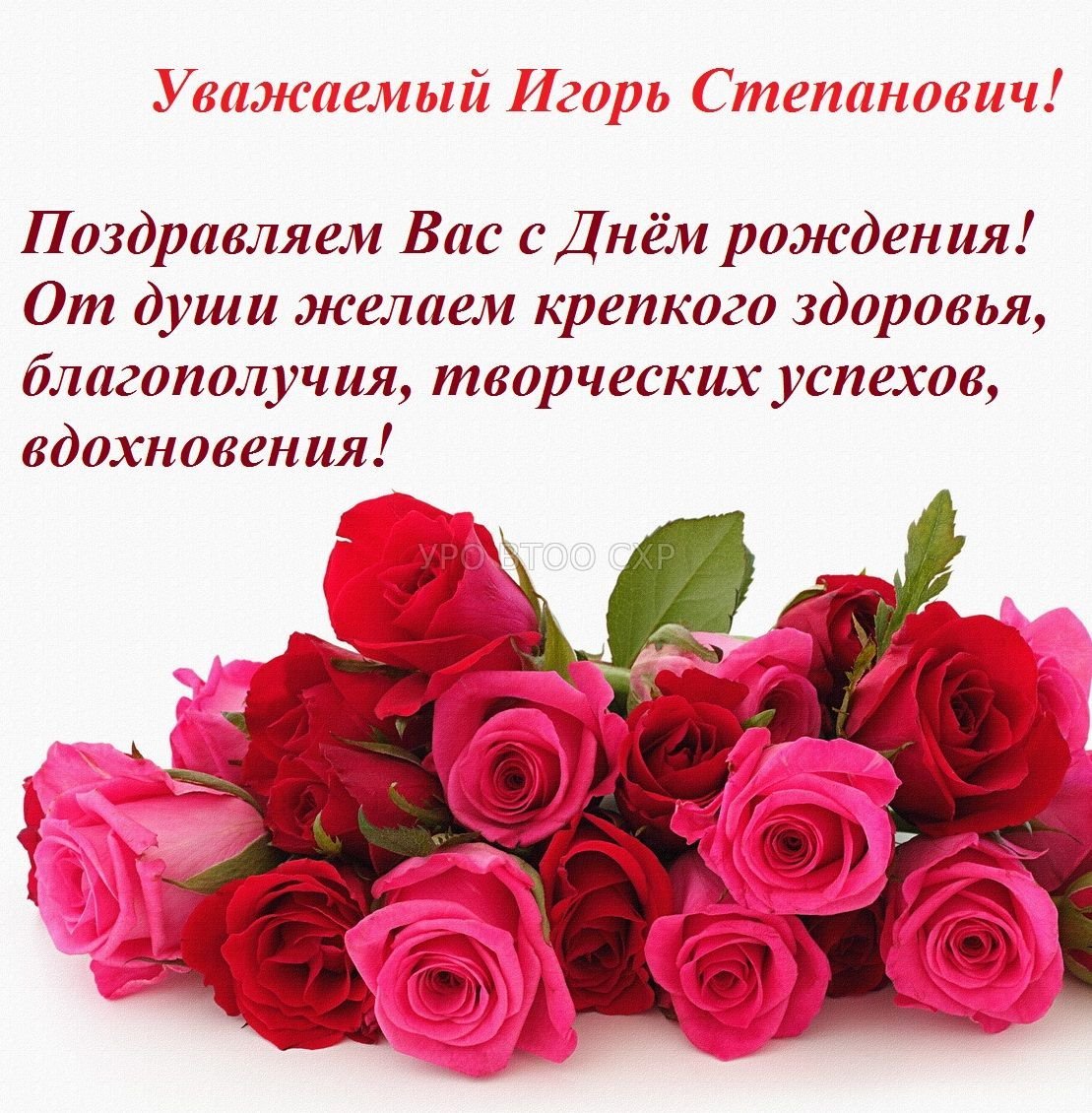 Игорь Леонидович с днем рождения