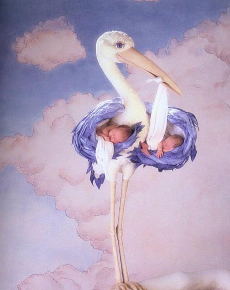 Аист с младенцем