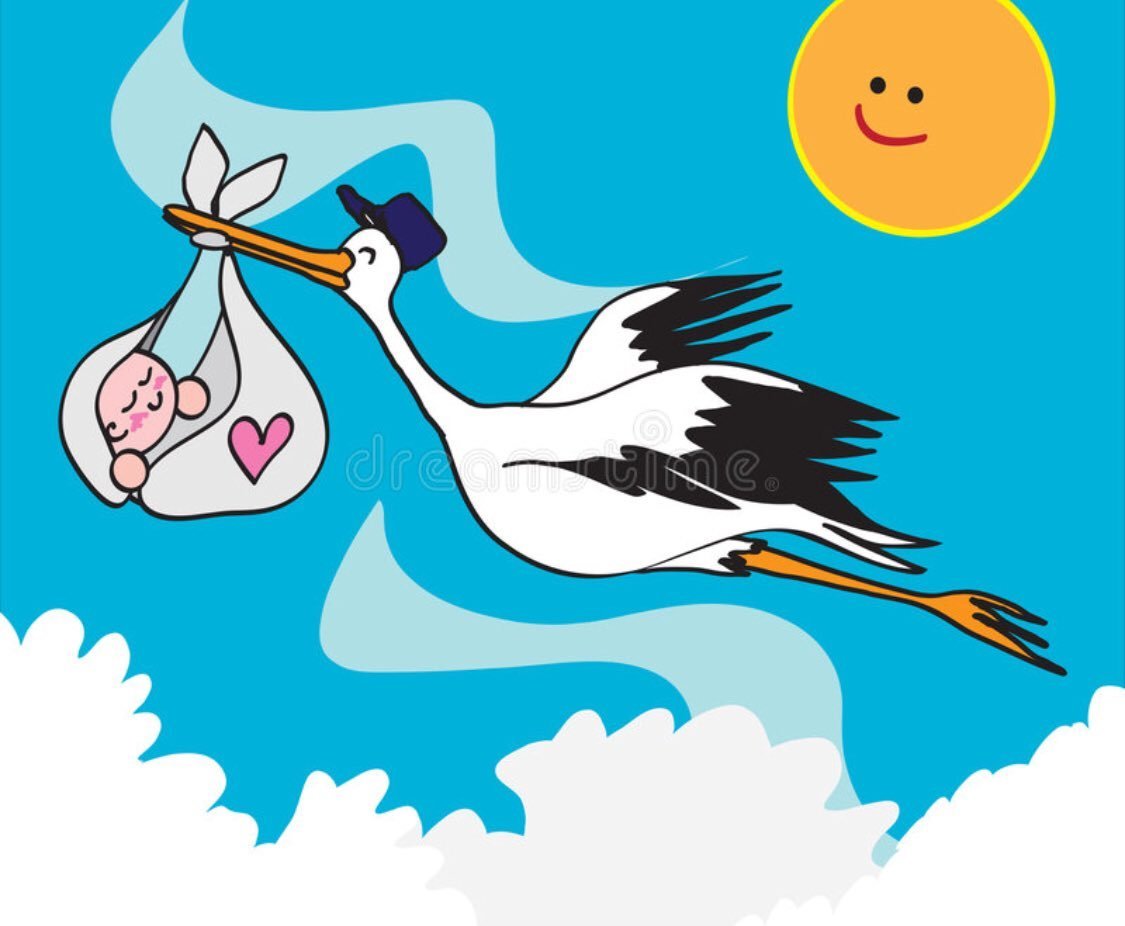 Аист плакат