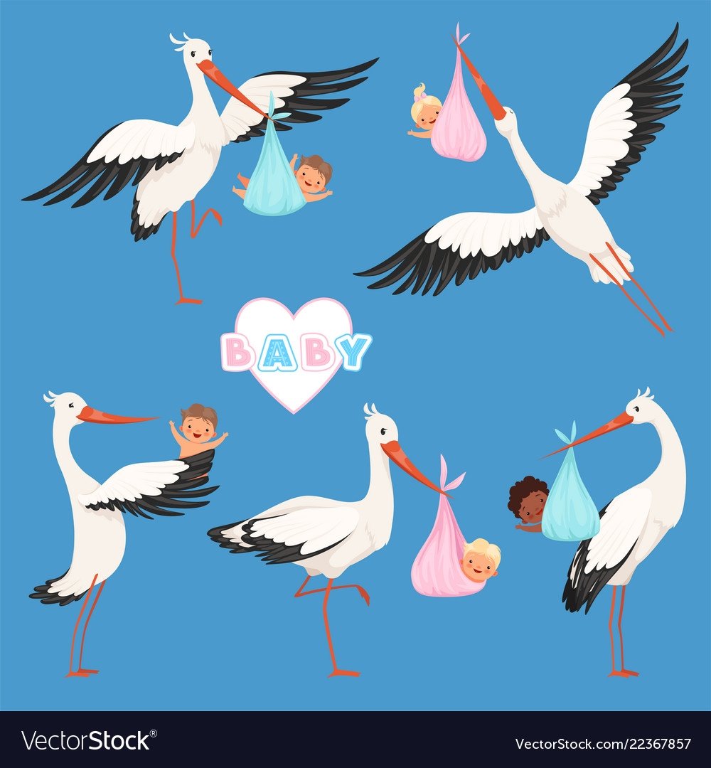 Стая аистов с детьми