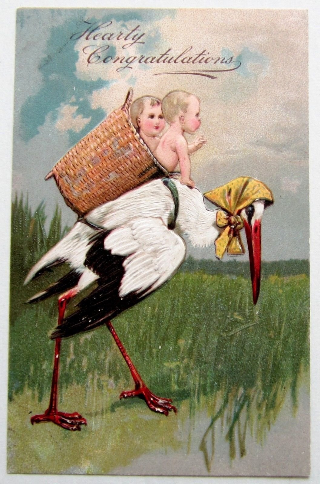 Красивый Аист с малышом