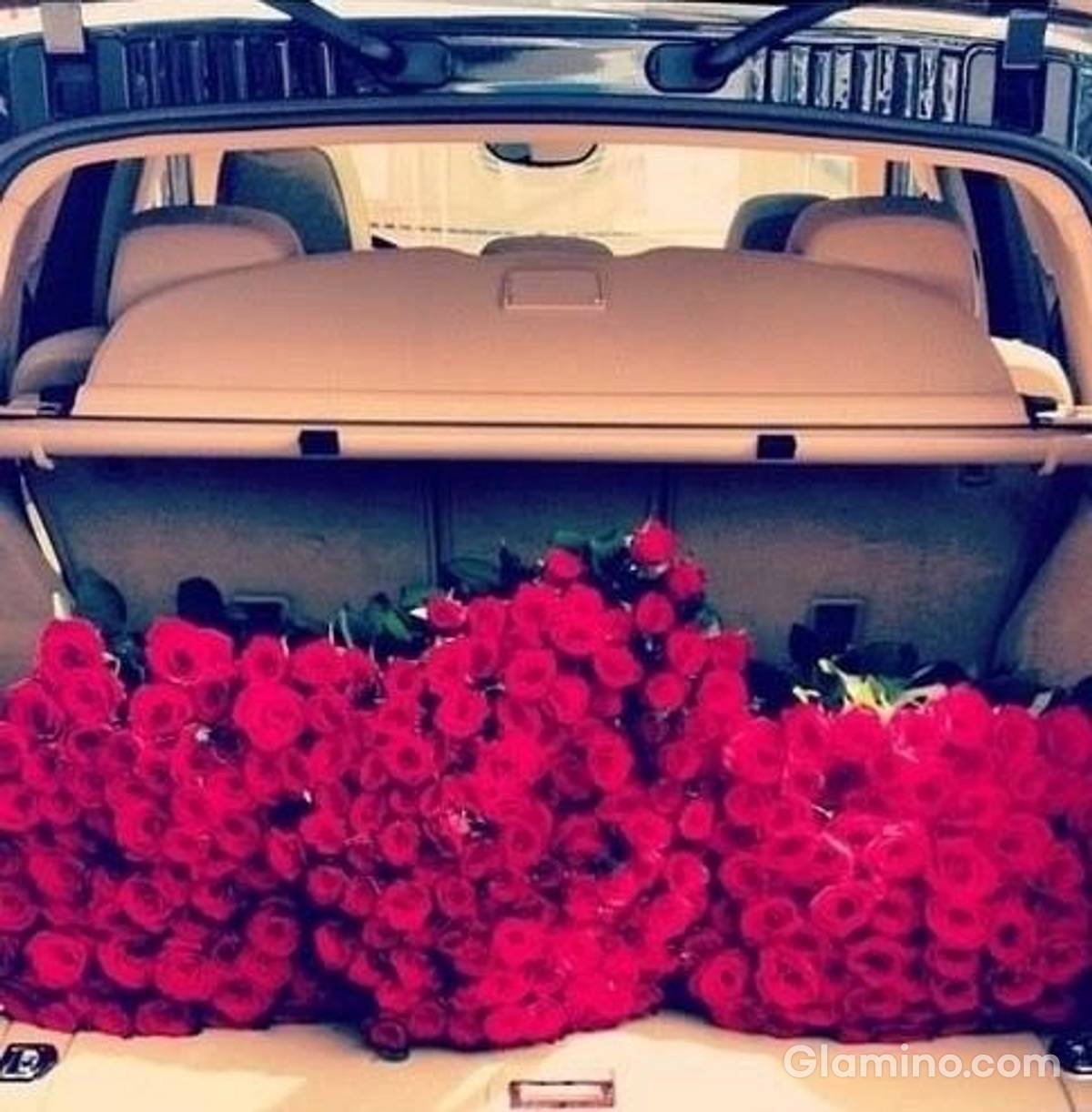 Букет роз в багажнике