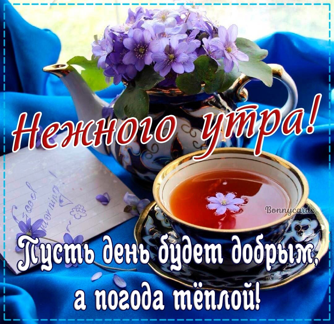 Доброе утро юмор