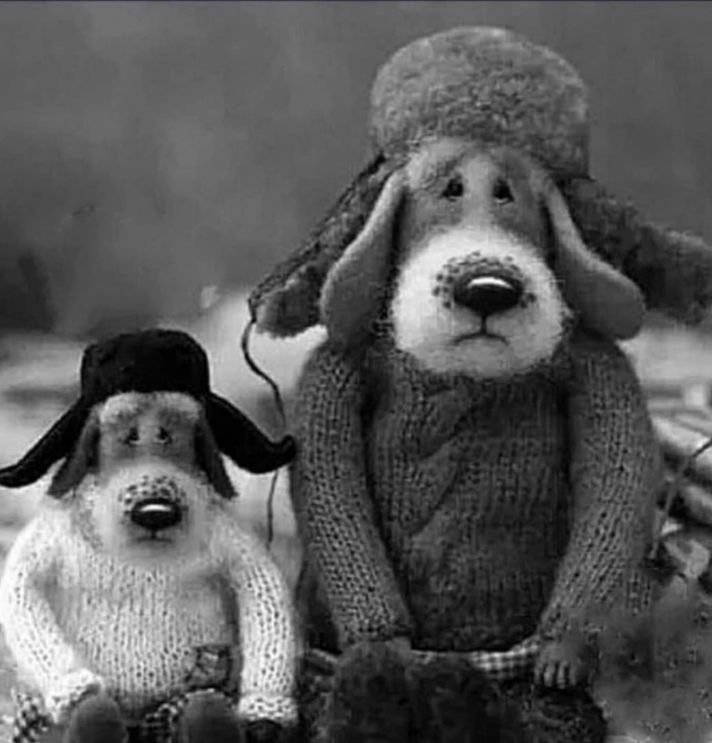 Сонное утро