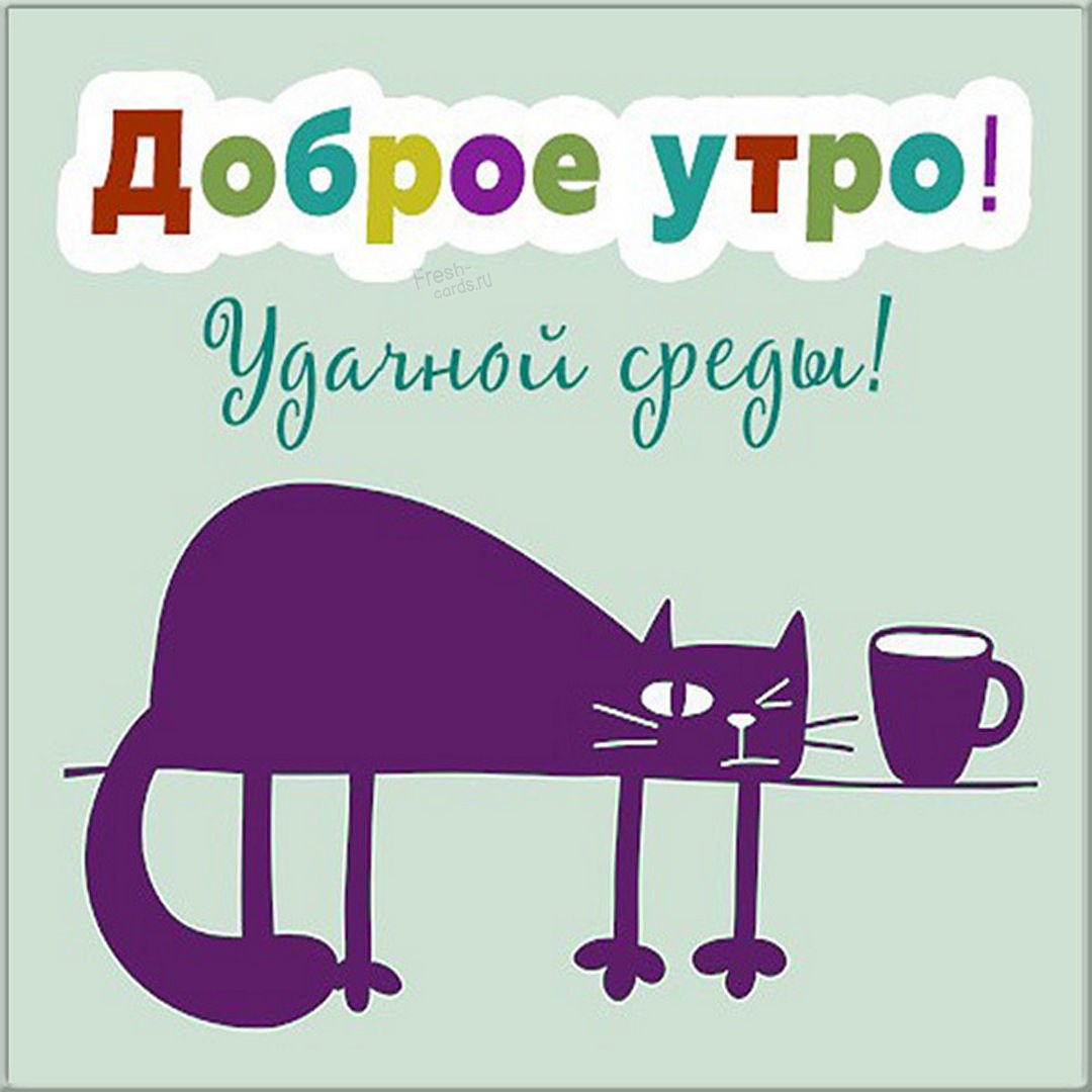 Котик пьет кофе