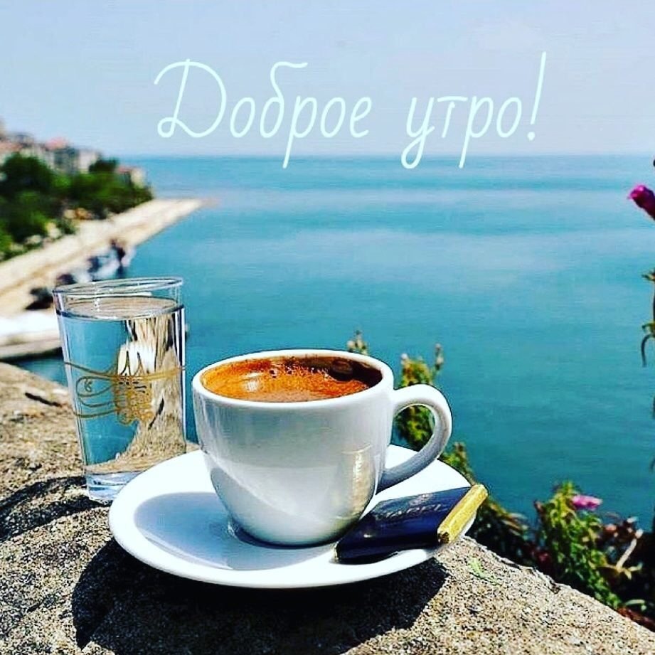 Прикольные КОТКРЫТКИ С добрым утром