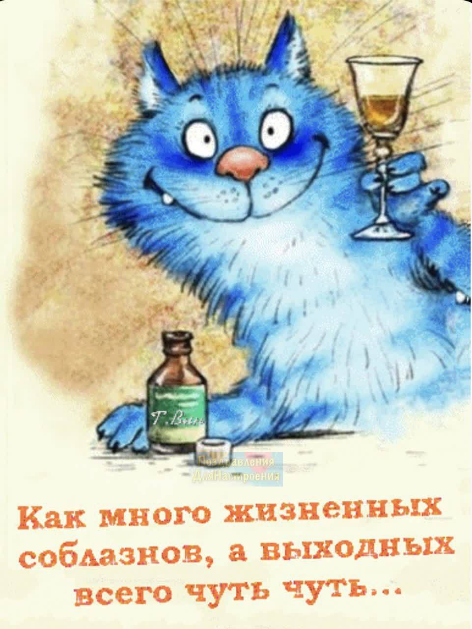 Доброе утро, Медвежонок!