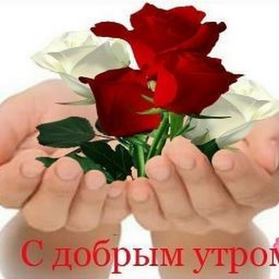 Доброе утро Танечка