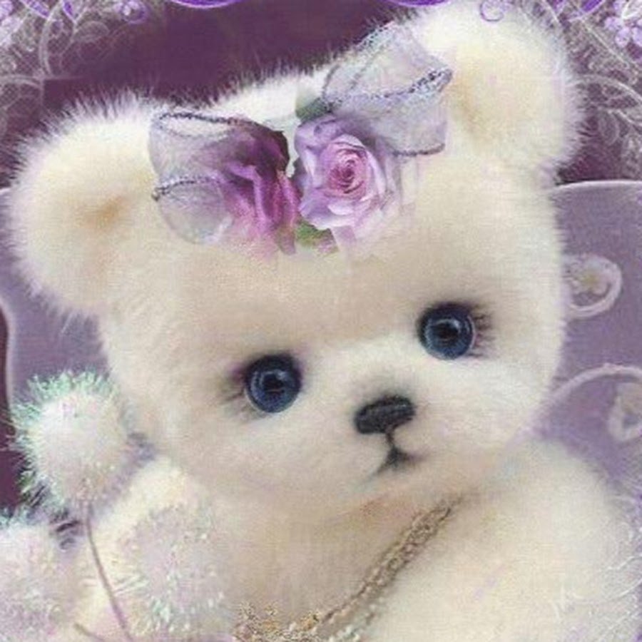 С добрым утром девушке цветы