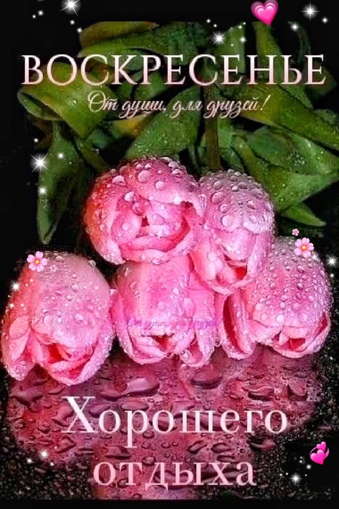 Поздравляем с днем рождения цветы