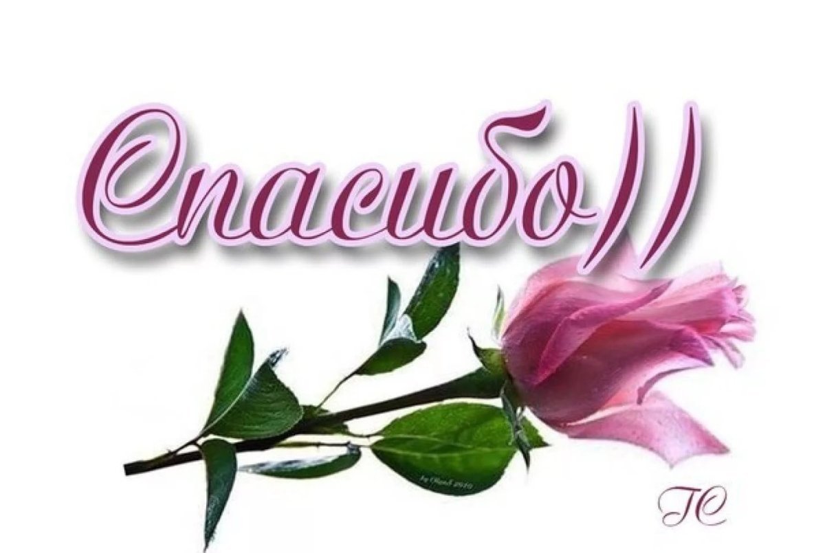 Спасибо за поздравления