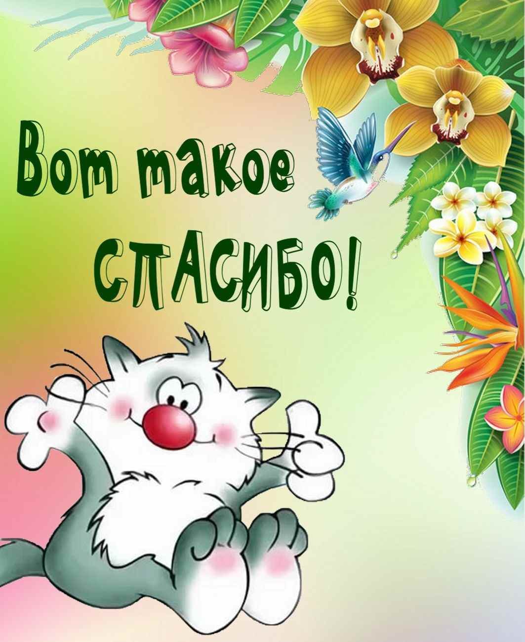 Спасибо за поздравления друзья