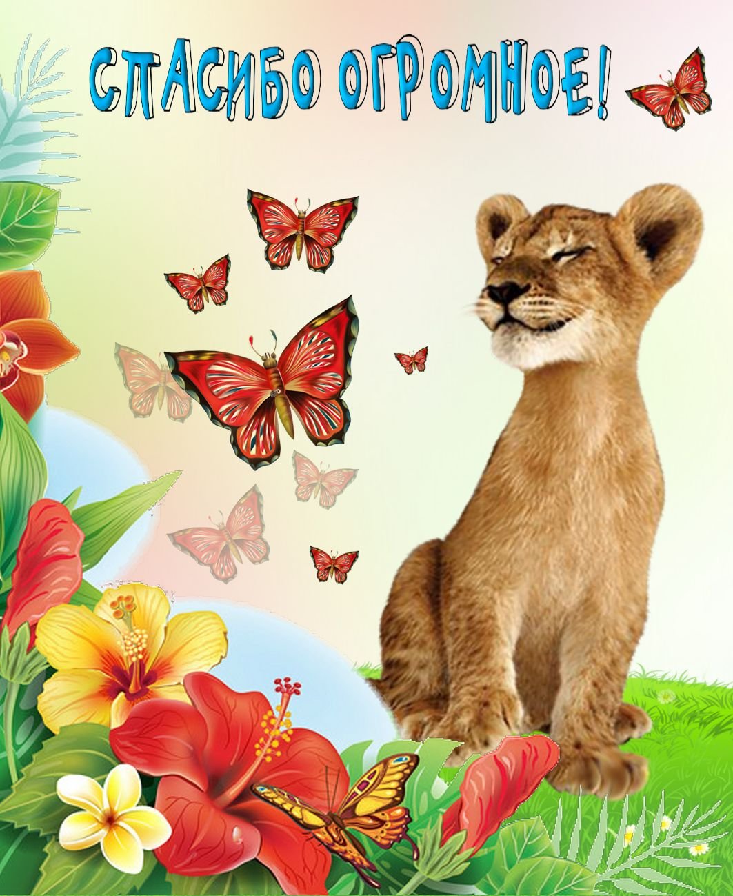 Открытки с благодарностью