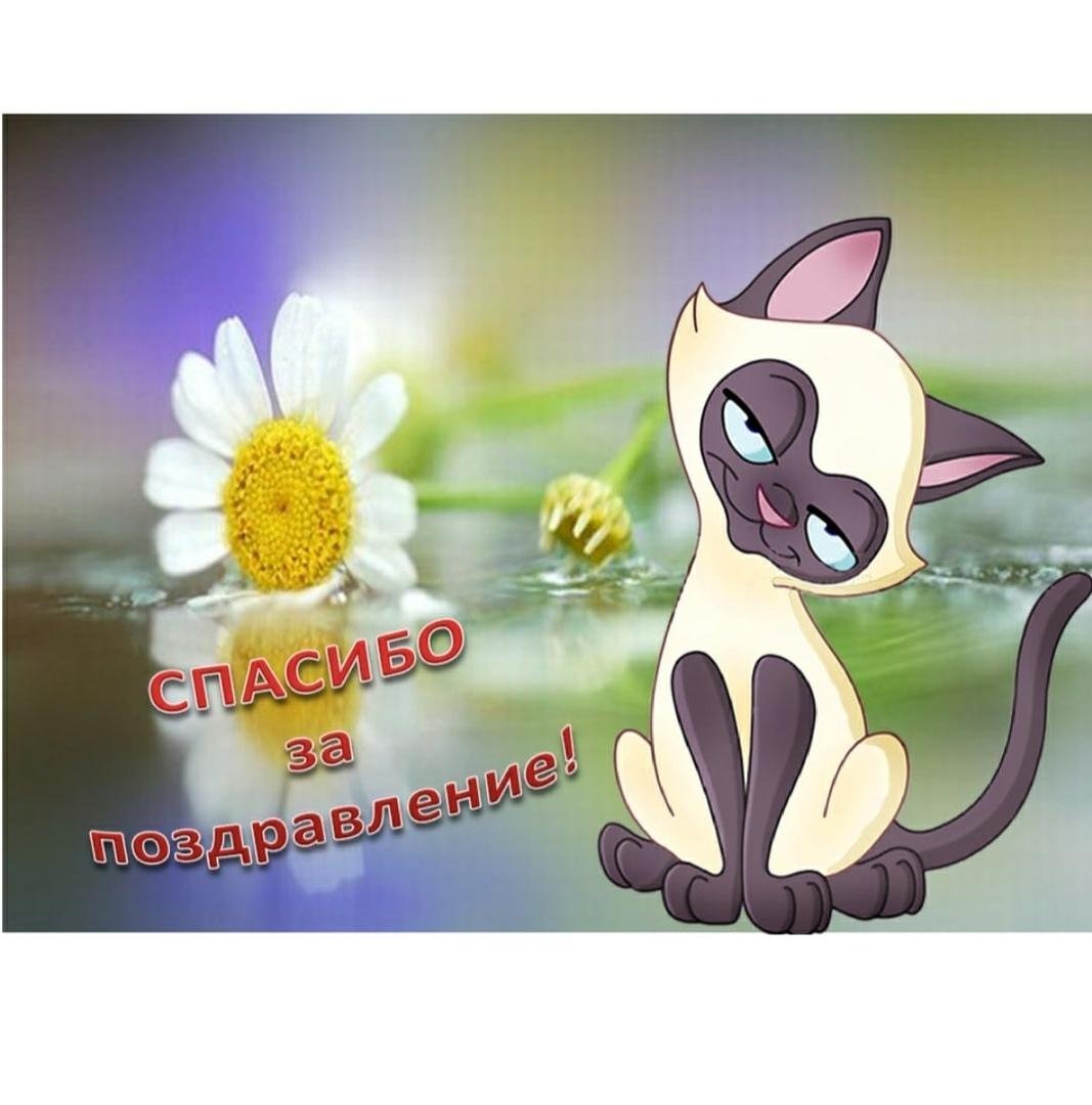 Открытки с благодарностью