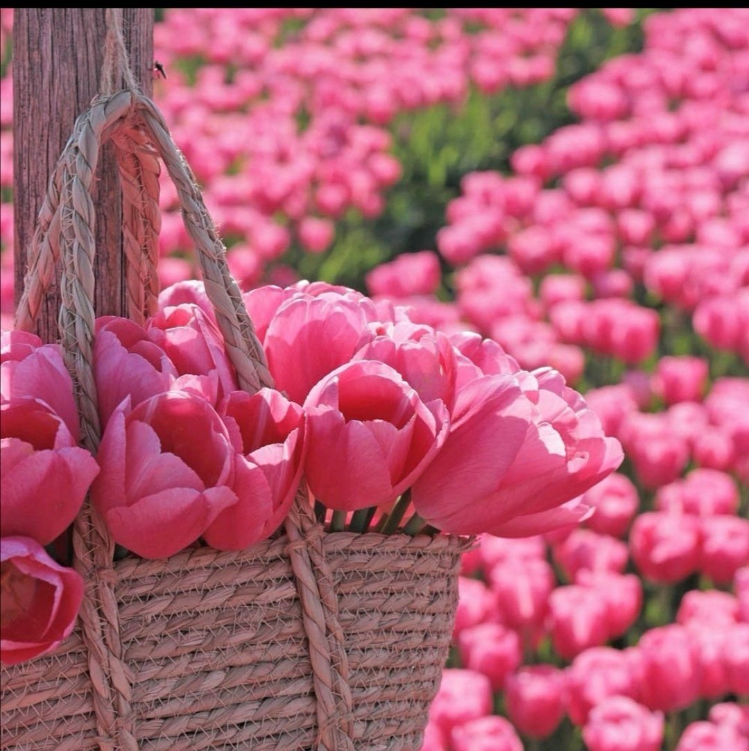 Стикеры приятного вечера