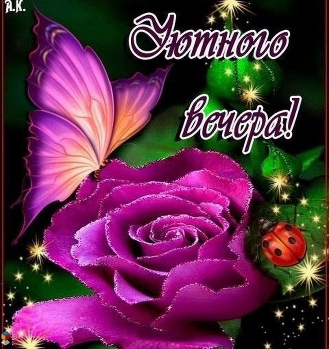 Приятного вечера и спокойной ночи