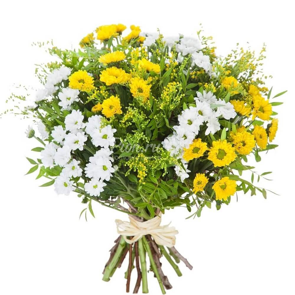 Солидаго цветок флористика