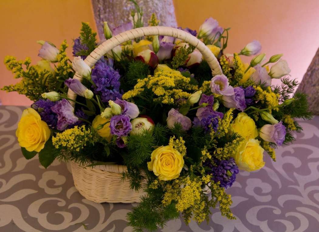 Солидаго солидаго