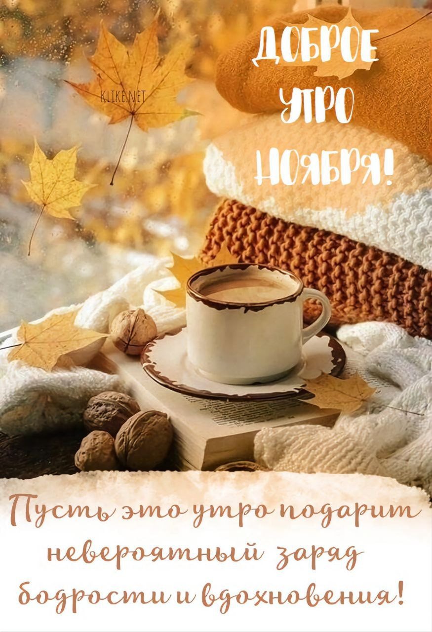 Ноябрьское утро